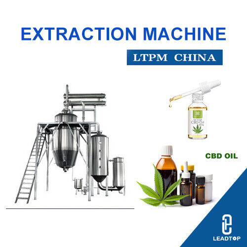 Tin tức công ty mới nhất về Lesotho kiếm tiền từ sự bùng nổ cần sa dược liệu khi công ty Anh mở nhà máy CBD