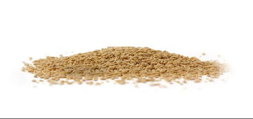 Tin tức công ty mới nhất về Quy trình tạo hạt trong sản xuất dược phẩm