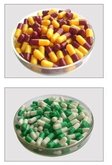 Giá tốt Loại dược phẩm cỡ 3 Viên nang Gel rỗng từ Gelatin xương gia súc trực tuyến